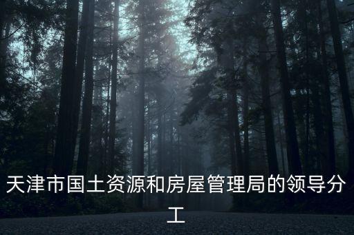 天津市國土資源和房屋管理局的領導分工