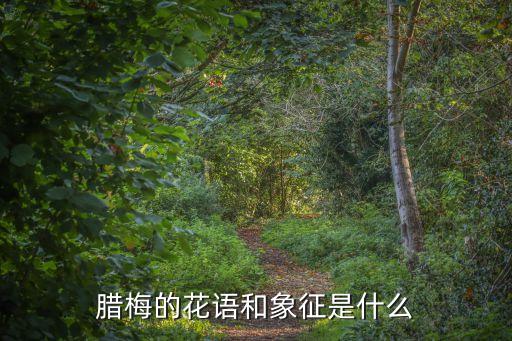 臘梅寓意，臘梅花的寓意是什么