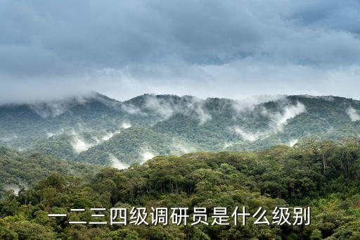 天津市總工會四級調研員，四級調研員可以有自己的辦公室嗎