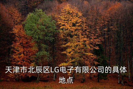 天津市北辰區(qū)LG電子有限公司的具體地點