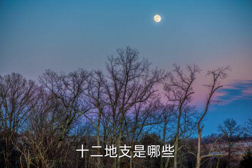 十二地支，十二地支是哪些