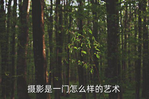 攝影是一門怎么樣的藝術