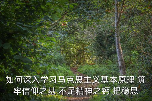 如何深入學習馬克思主義基本原理 筑牢信仰之基 不足精神之鈣 把穩思