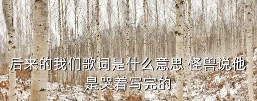 以后的我們，梁靜茹有一首歌里面有一句從前的我們后來(lái)的我們是什