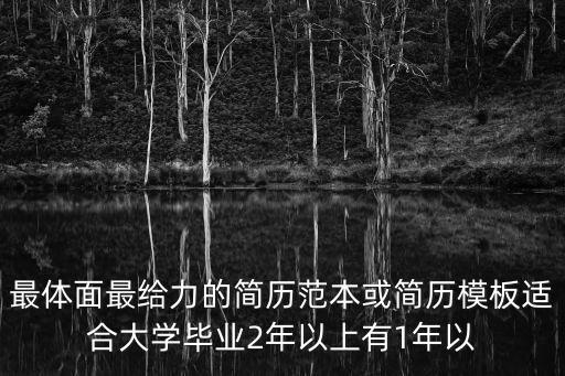 最體面最給力的簡歷范本或簡歷模板適合大學(xué)畢業(yè)2年以上有1年以