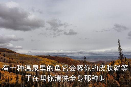 有一種溫泉里的魚它會啄你的皮膚就等于在幫你清洗全身那種叫