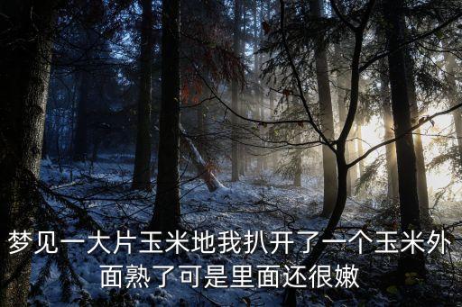 夢(mèng)見玉米地，夢(mèng)見玉米地是什么意思