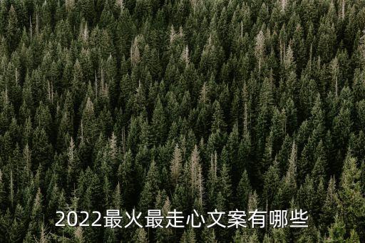 2022最火最走心文案有哪些