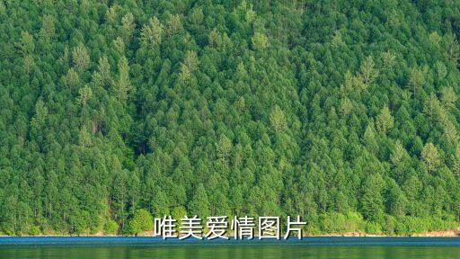 唯美愛情圖片