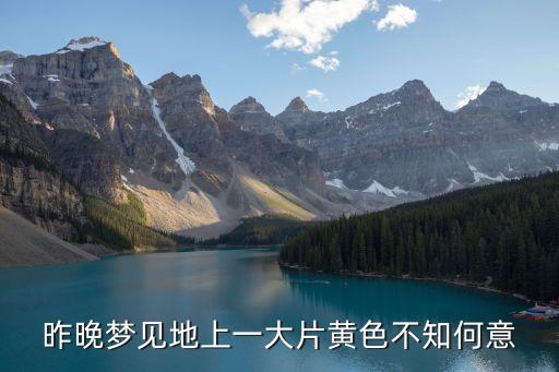 昨晚夢見地上一大片黃色不知何意