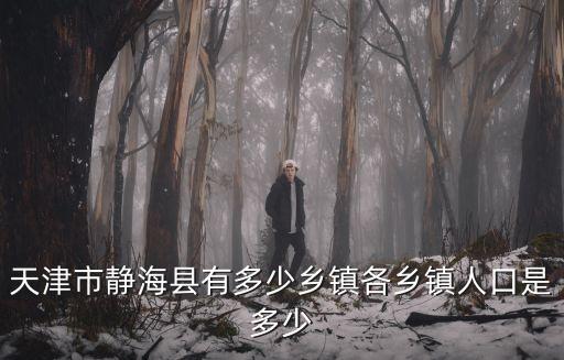 天津市人口較多的鎮，有誰知道天津東麗區有多少個鎮還有哪個鎮人多我想在那邊做點生意謝謝