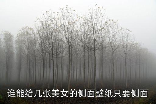 誰能給幾張美女的側(cè)面壁紙只要側(cè)面