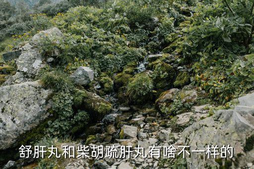 柴胡舒肝丸的作用，舒肝丸和柴胡疏肝丸有啥不一樣的