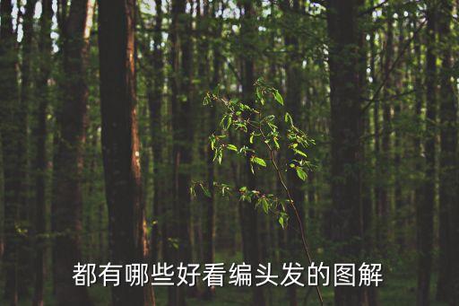 編發圖解，怎么編辮子圖解