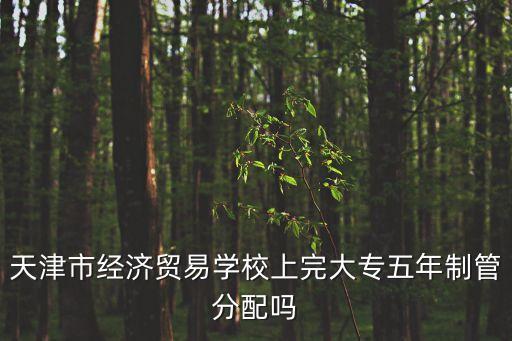 天津市五年制大專班，天津電子信息職業技術學院有五年制大專嗎