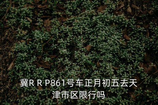 冀R R P861號車正月初五去天津市區(qū)限行嗎