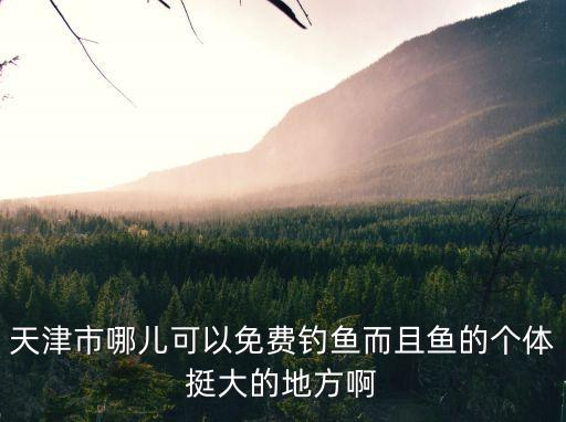 天津市哪兒可以免費釣魚而且魚的個體挺大的地方啊