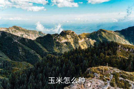 玉米的種植方法，種玉米的方法
