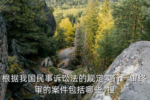 根據我國民事訴訟法的規定實行一審終審的案件包括哪些  搜