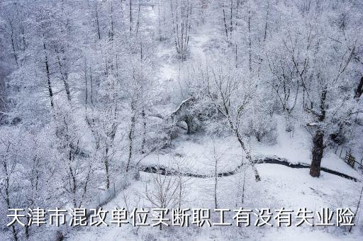 天津市混改單位買斷職工有沒有失業險