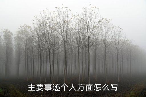 主要事跡個(gè)人方面怎么寫