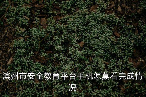 濱州市安全教育平臺手機怎莫看完成情況