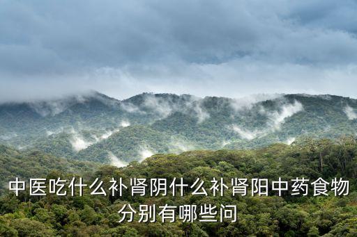 中醫吃什么補腎陰什么補腎陽中藥食物分別有哪些問