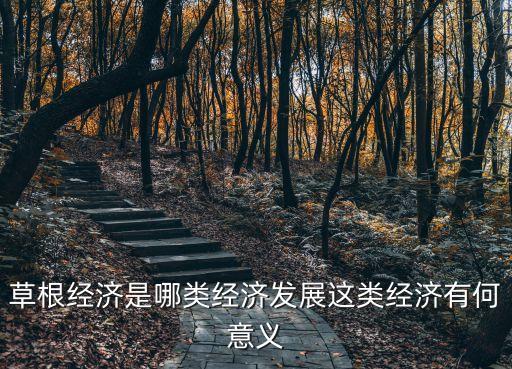 草根經濟是哪類經濟發展這類經濟有何意義