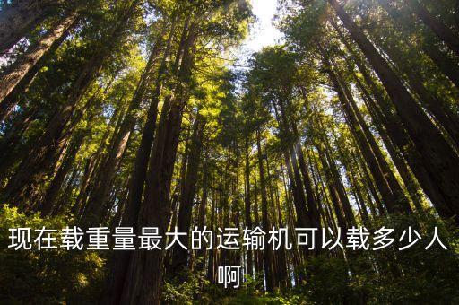 現在載重量最大的運輸機可以載多少人啊
