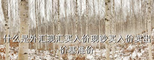 什么是外匯現(xiàn)匯買(mǎi)入價(jià)現(xiàn)鈔買(mǎi)入價(jià)賣(mài)出價(jià)基準(zhǔn)價(jià)