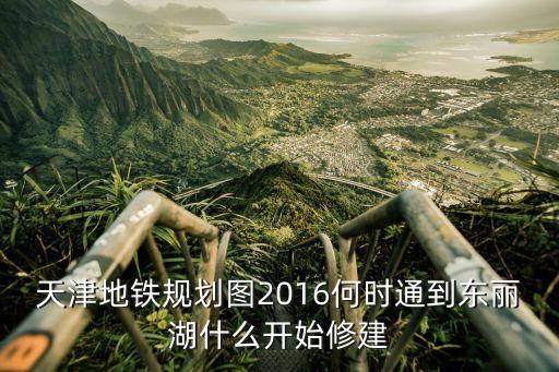 天津市東麗湖地調局位置，東麗地稅局在哪