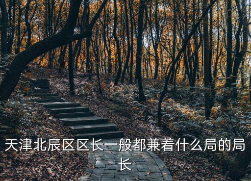 天津北辰區區長一般都兼著什么局的局長