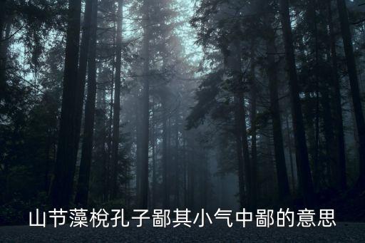 孔子鄙其小器，求古文翻譯孔子鄙其小器