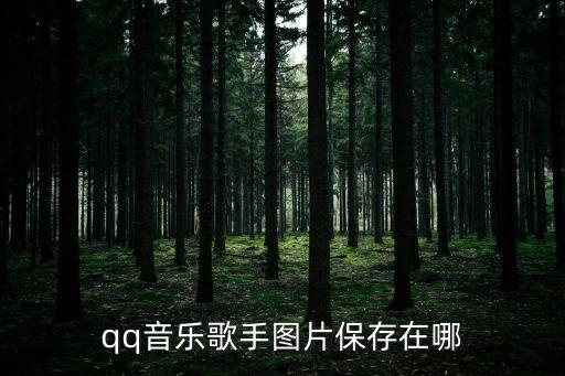 qq音樂歌手圖片保存在哪