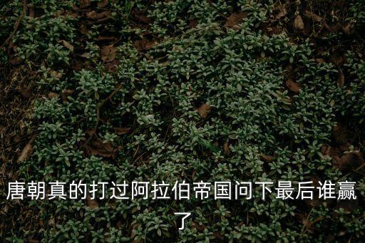 怛羅斯之戰，阿拉伯與唐朝的怛羅斯之戰