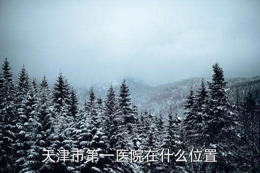 天津市第一醫院在什么位置