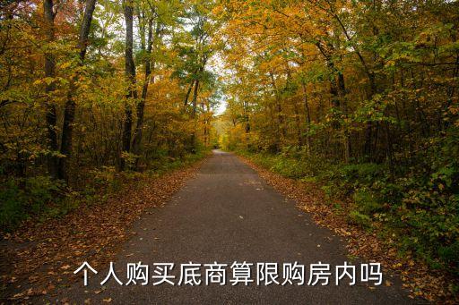 天津市買底商有限制嗎，現(xiàn)在政策對購買商鋪有沒有特別的要求想買