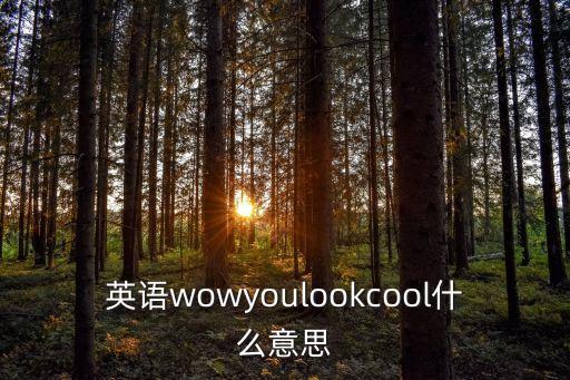 英語wowyoulookcool什么意思