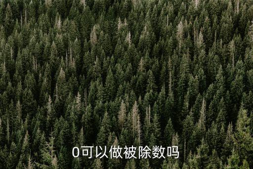 0可以做被除數嗎
