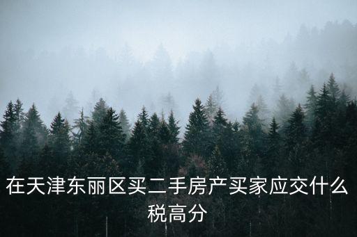 在天津東麗區(qū)買二手房產(chǎn)買家應(yīng)交什么稅高分
