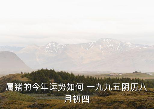 屬豬的今年運勢如何 一九九五陰歷八月初四