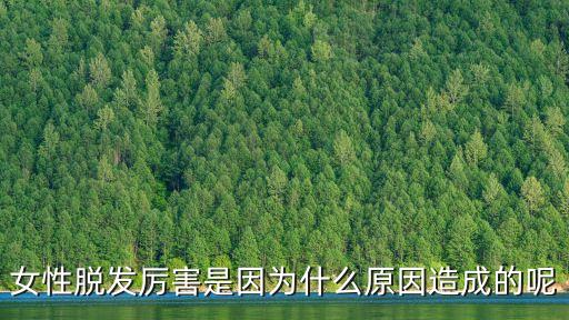 女性脫發厲害是因為什么原因造成的呢