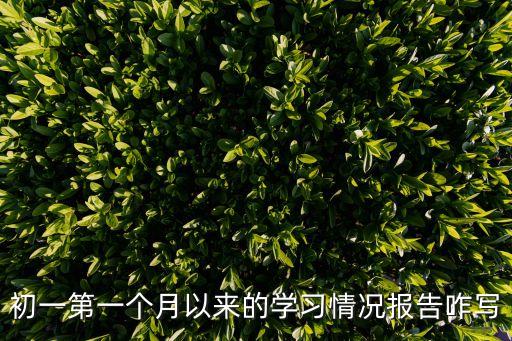 初一第一個月以來的學習情況報告咋寫