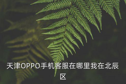 天津OPPO手機(jī)客服在哪里我在北辰區(qū)