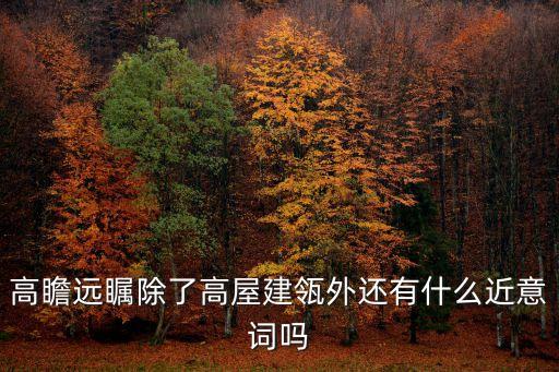 高瞻遠矚除了高屋建瓴外還有什么近意詞嗎