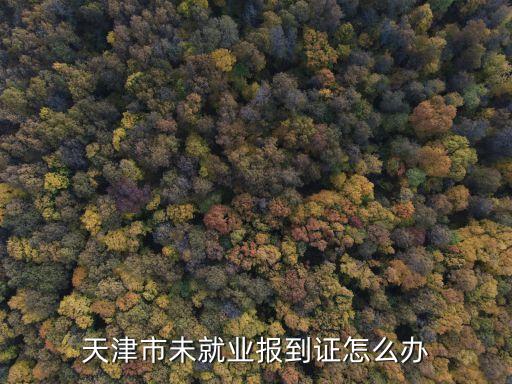 天津市未就業報到證怎么辦