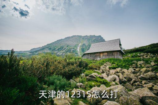 天津的12315怎么打