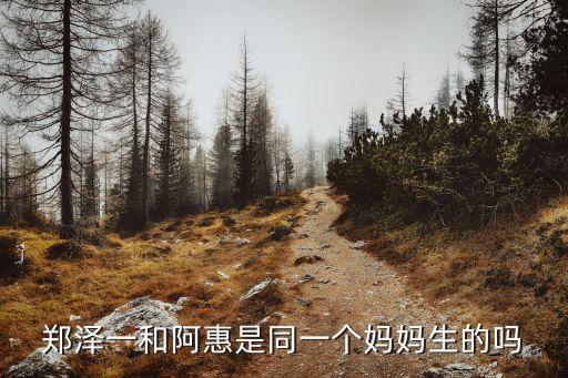 鄭澤一和阿惠是同一個媽媽生的嗎
