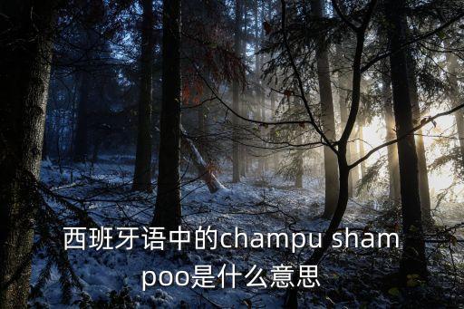 洗發水的英文，西班牙語中的champu shampoo是什么意思
