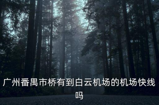 廣州番禺市橋有到白云機場的機場快線嗎